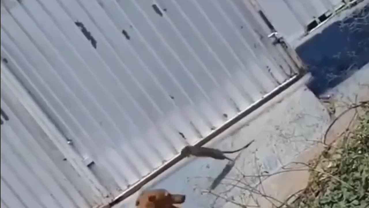 Size of your heart is what matters 💪