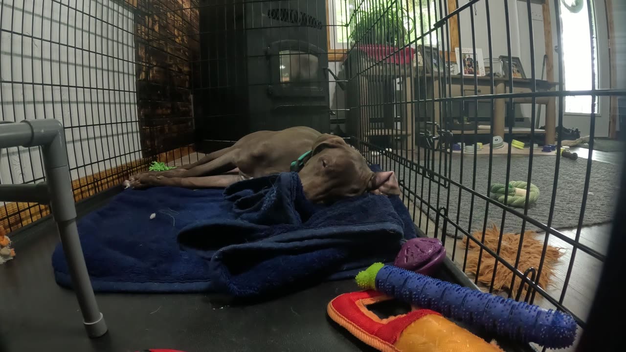 STEVIE NAPING TIME LAPSE
