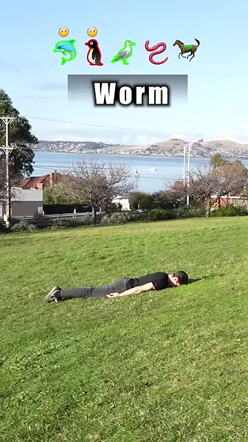 How different animals get over a fence