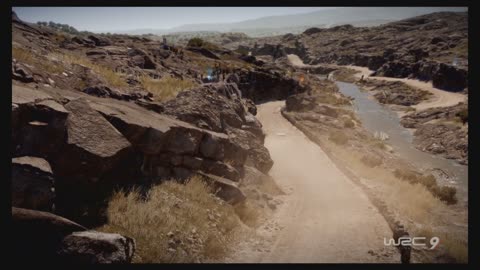 WRC9 (Ps5) Race11