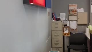 Flashback! I miss the way my Avis used to look