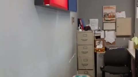 Flashback! I miss the way my Avis used to look