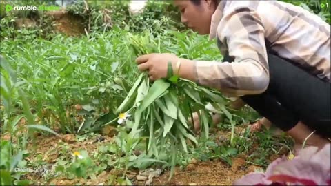 Catching Giant Fish in the Mud | Real Survival Fishing in Village Life