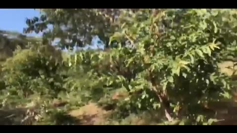 BEST ANIMAL FAIL🙉🙈🙊💯🔥 PART 14