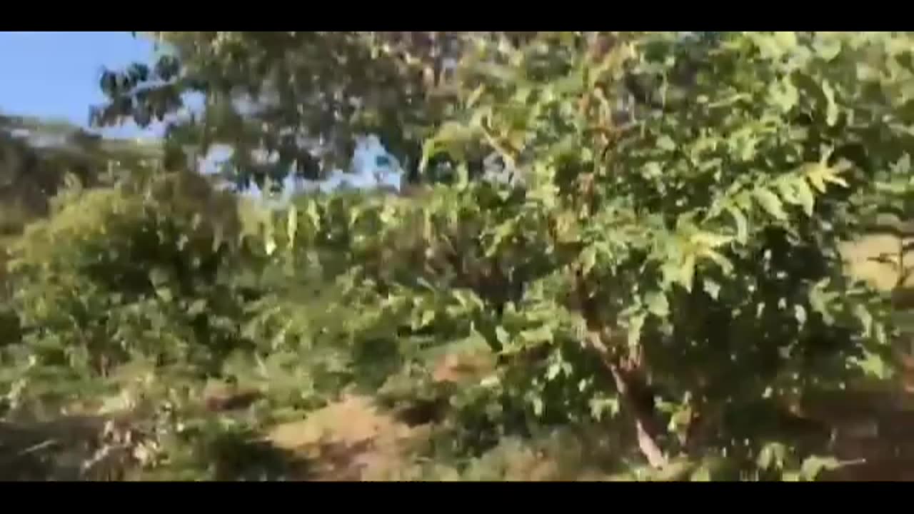 BEST ANIMAL FAIL🙉🙈🙊💯🔥 PART 14