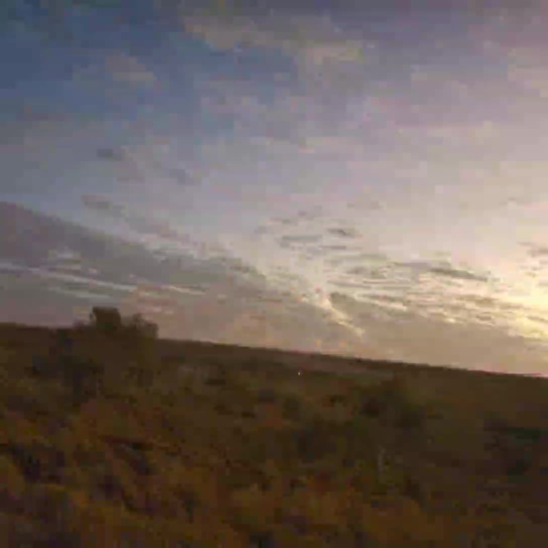 Man kann wirklich nichts mehr glauben❗AI/KI ist überall ❗