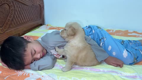 So funny and cute! I became good friends with an abandoned golden retriever puppy!