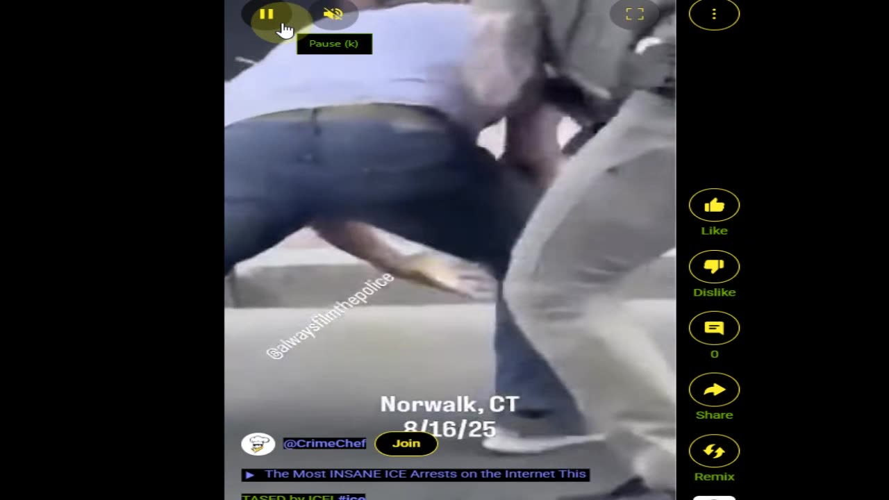 ICE Tased Fleeing Migrant Subject While Leftist Cries Excessive Force