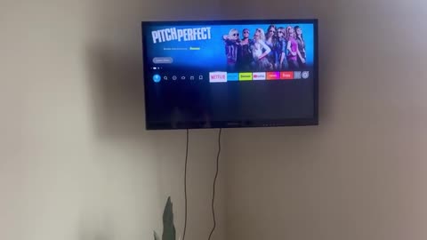 Amazon Fire TV Stick HD review