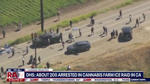 Anti-Trump Fed Judge Blocks ICE 319 Arrested At Marijuana Farm - Epstein List - FBI Bongino / Bondi Feud