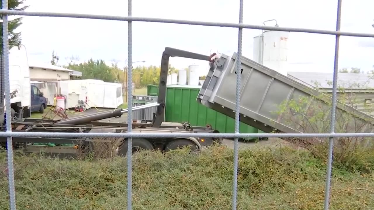 German farms set to cull 130,000 ducks and chickens after bird flu outbreak