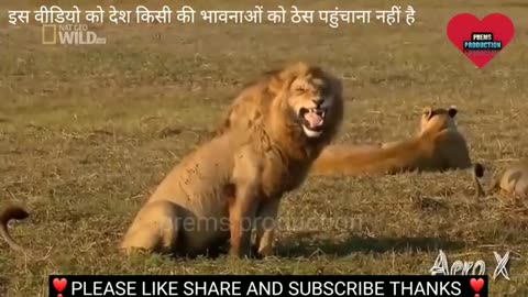 #funny video#