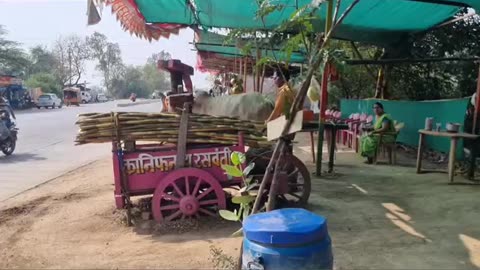 Sugar cane juice in Nashik