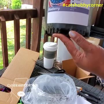 Biloxi Blueberry plants - #catshobbycorner #gardening