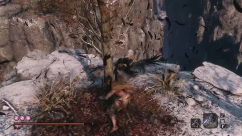 Sekiro NG17 KC DB Rooster flip funny