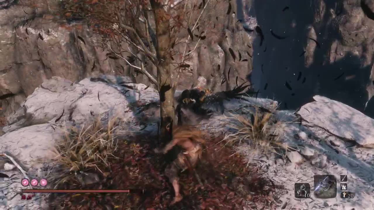 Sekiro NG17 KC DB Rooster flip funny