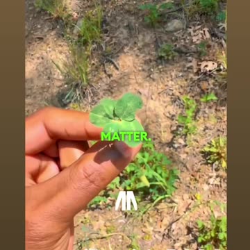 Be the FORCE that Reshapes it! ✨