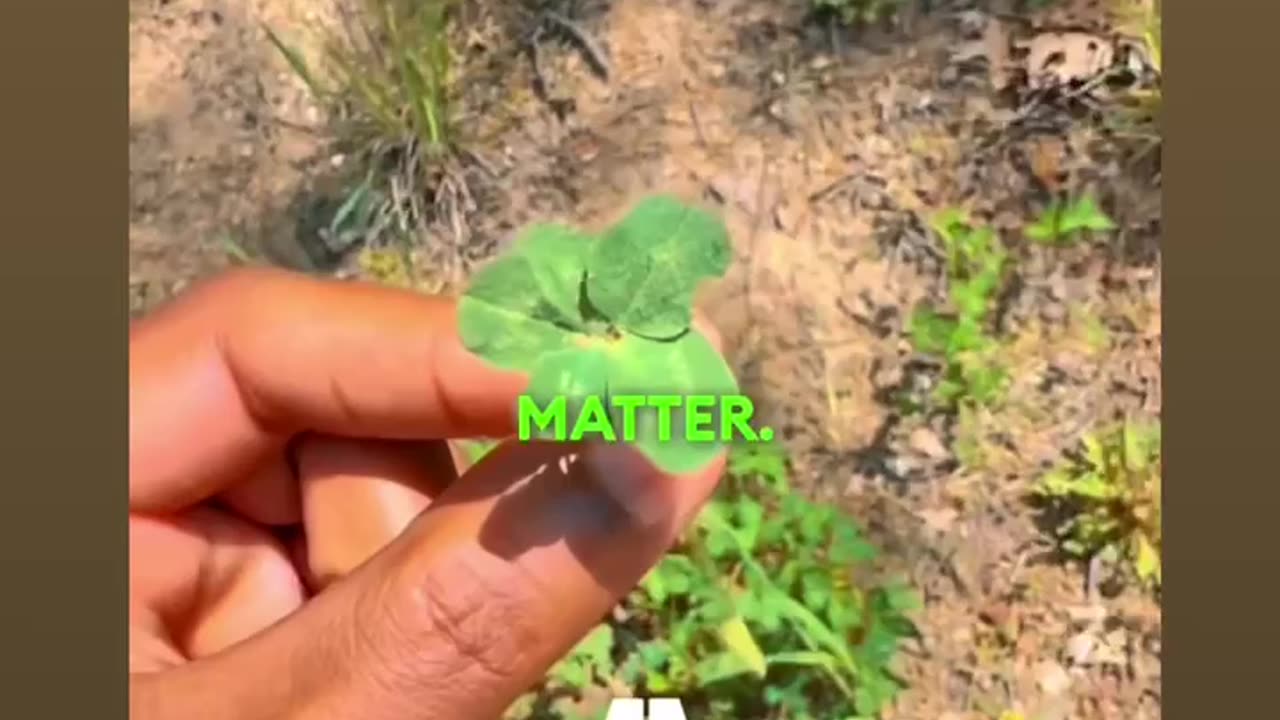 Be the FORCE that Reshapes it! ✨