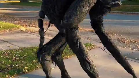 😱👽 Imagine Seeing This Walk Down Your Street at Night! | TheHauntingHour
