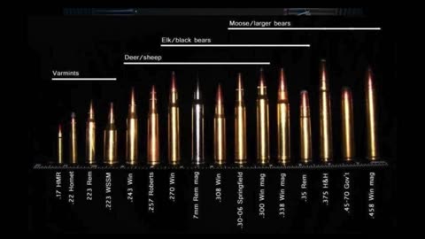 Charlie Kirk (SHOT LOCATION!) Anatomical model, ballistics and more