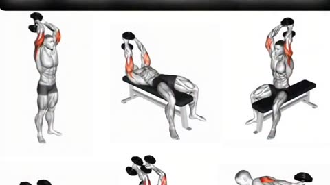 Best Triceps Workout