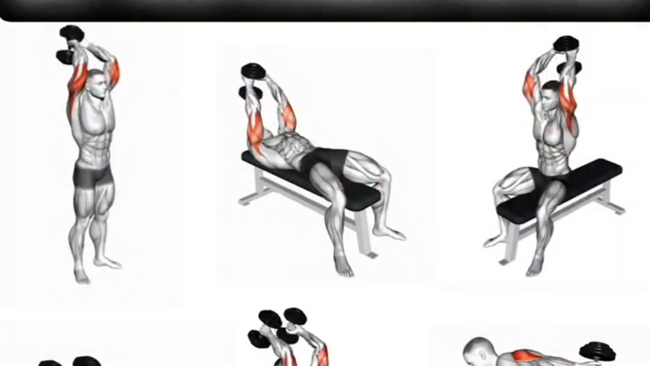 Best Triceps Workout