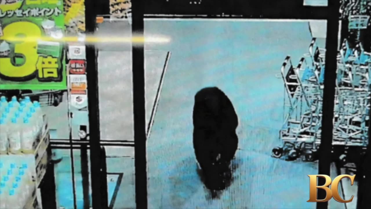 State Department issues warning in Japan after bears kill 13 since April