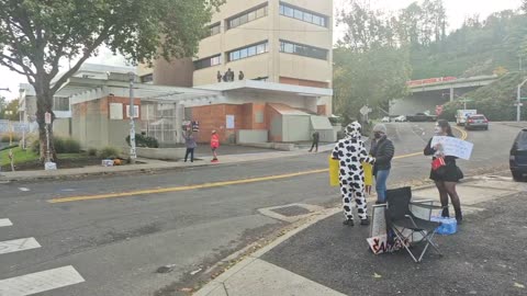 #Live #IRL #ICE #Portland #Antifa #Protest #Lefists acting like Fascists