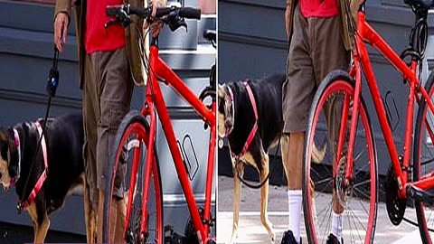 80s Star WHO Portrayed Madonnas Leading Man and