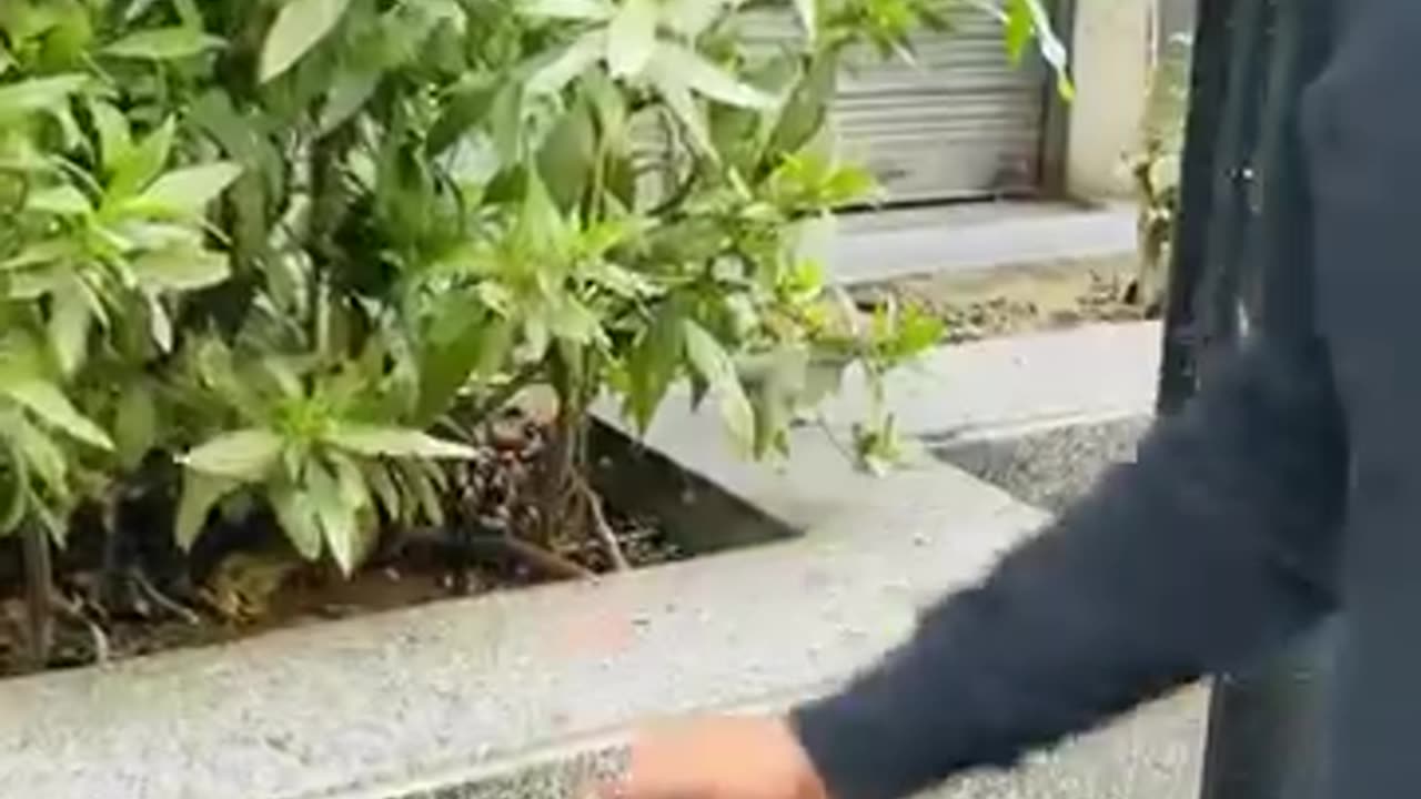 Different places put the money