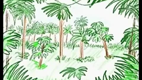 baby einstein - animales del mundo