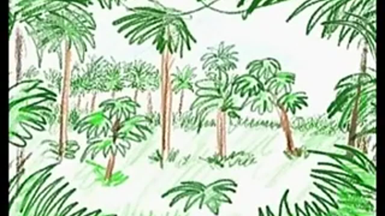 baby einstein - animales del mundo