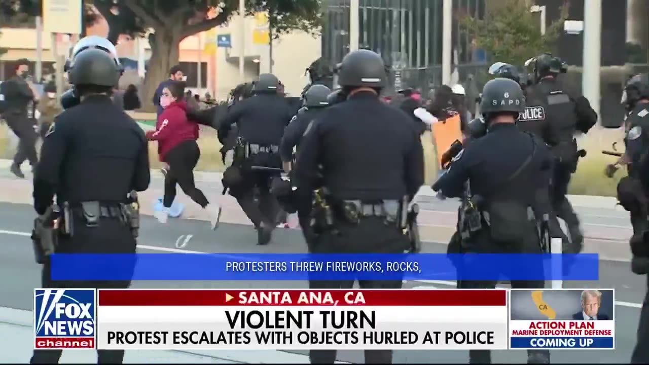 Lotters target medical marijuana