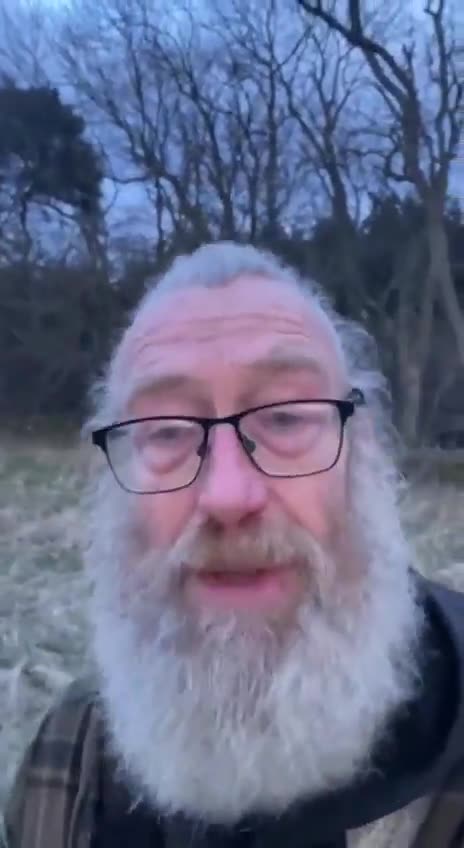 Alzheimers is caused by what