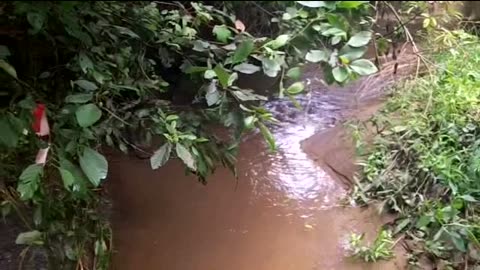 Rabun County, GA August 4, 2012