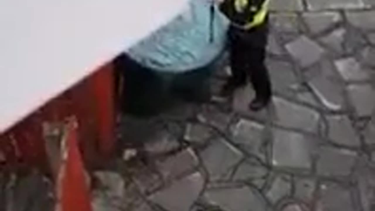 Very Dumb Burglar