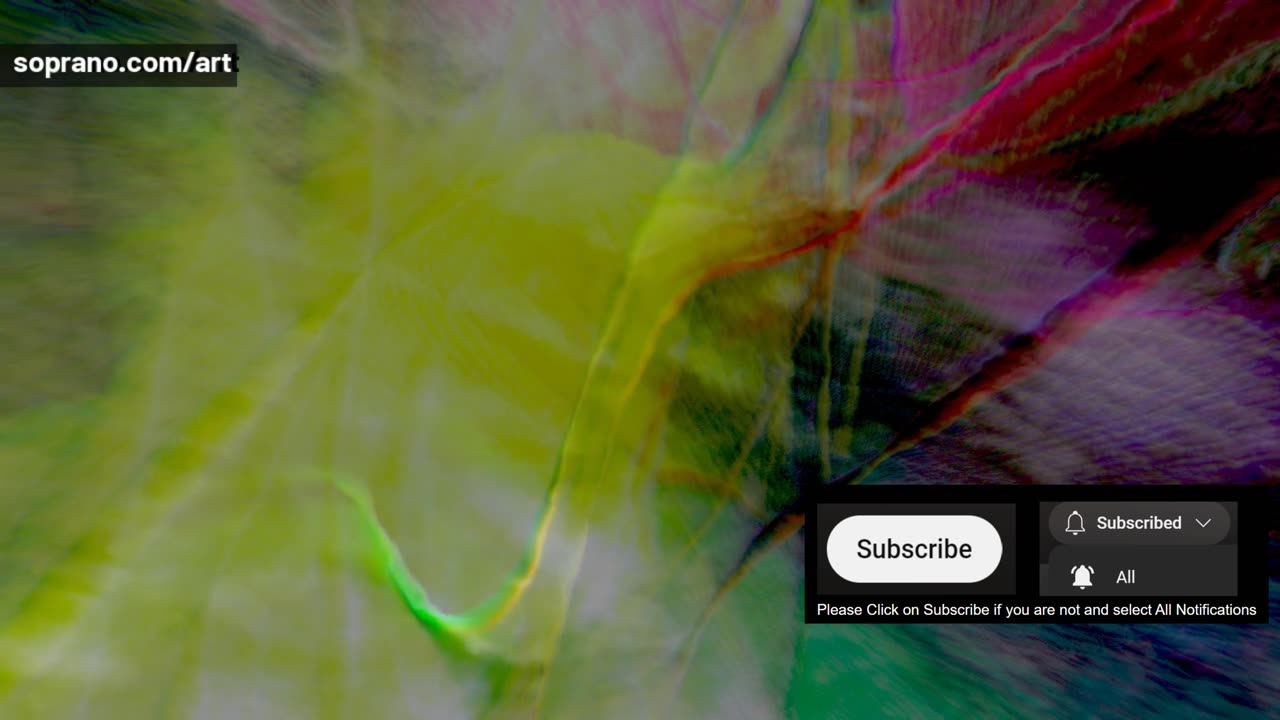 What is information? Are we in a virtual reality? by Claudio Soprano #consciousness