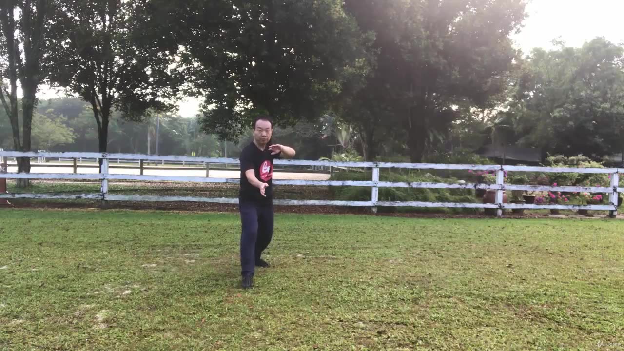 Aerobic Tai Chi Workout-018-y249n474 chu257nsu333 Forward steps