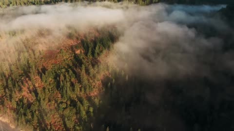 Les 3 alertes de la semaine Rite bizarre , Disparition, Invasion !