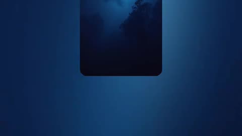 Shadow Veil