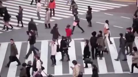 SOCIETY IS NOT READY FOR WHAT IS COMING - DOCUMENTARY MOVIE - AI FINANCIAL COLLAPSE & RESET