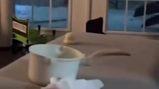 Dang Lightning You Scary