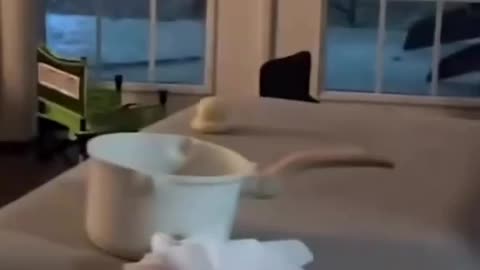 Dang Lightning You Scary