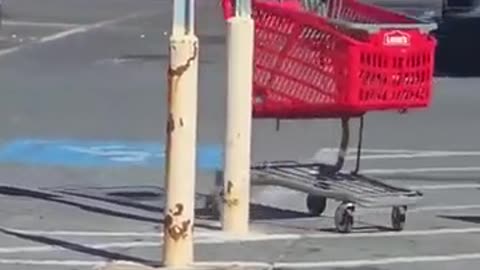🤣🛒 When a Shopping Cart Goes Rogue—Wait For It! | FunFM
