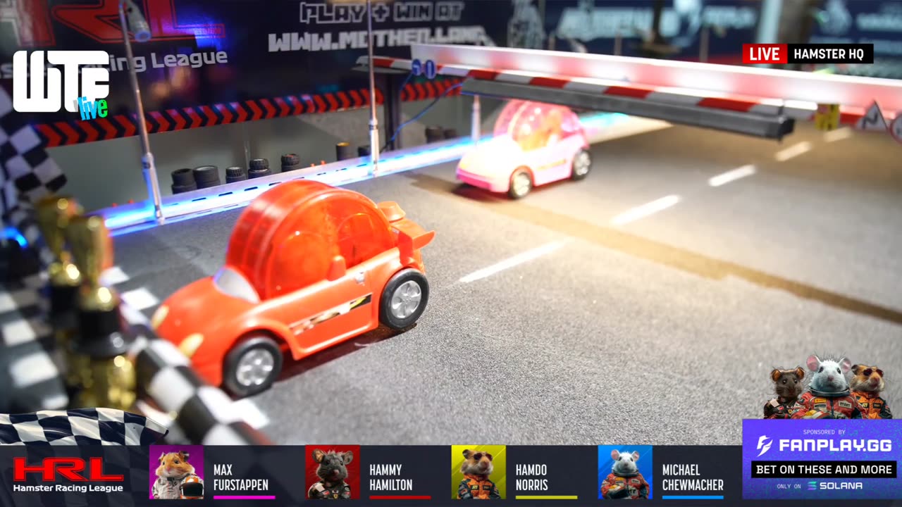 WTF Leagues Live - Pure Racing!