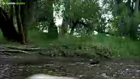 Floating River