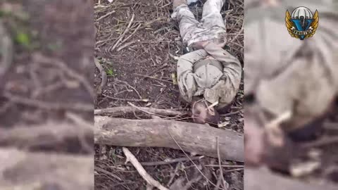 Ukraine war combat footage 8/12/25