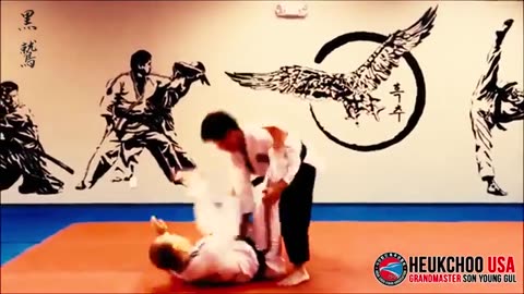 Hapkido