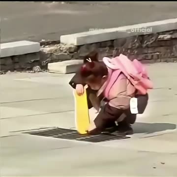 I acquired problem-solving skills at a very early age 😂😁