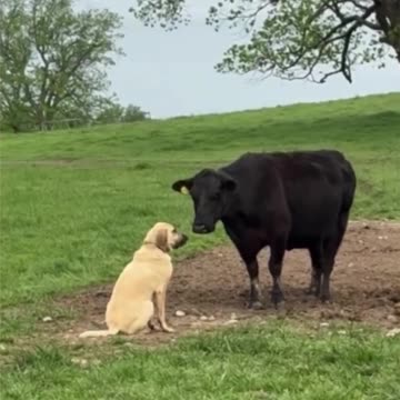 Introverts on a date.. 😂